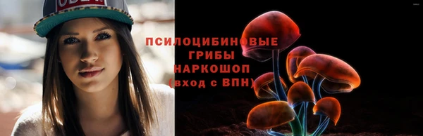 дмт Заволжск