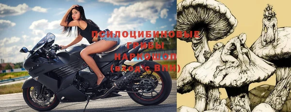 дмт Заволжск