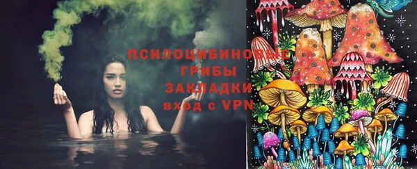 альфа пвп Заводоуковск