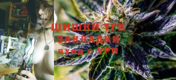 альфа пвп Заводоуковск