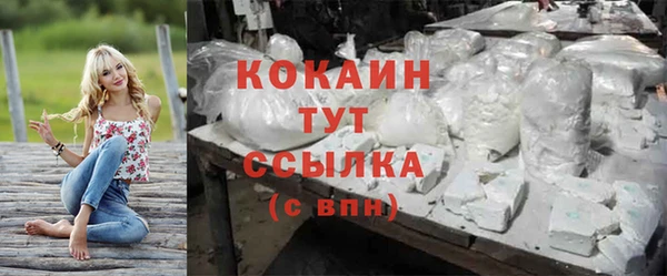 альфа пвп Заводоуковск